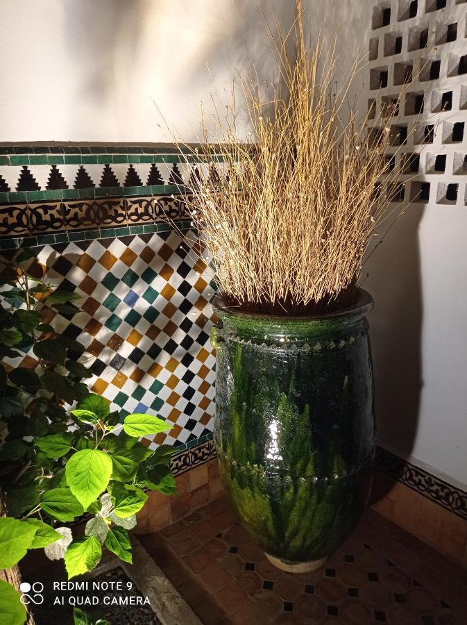 Riad Dar Badiaa ซาเล ภายนอก รูปภาพ